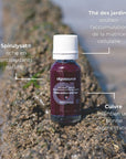 Détail ingrédients spirulysat beauté
