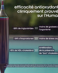 efficacite antioxydante sur l homme