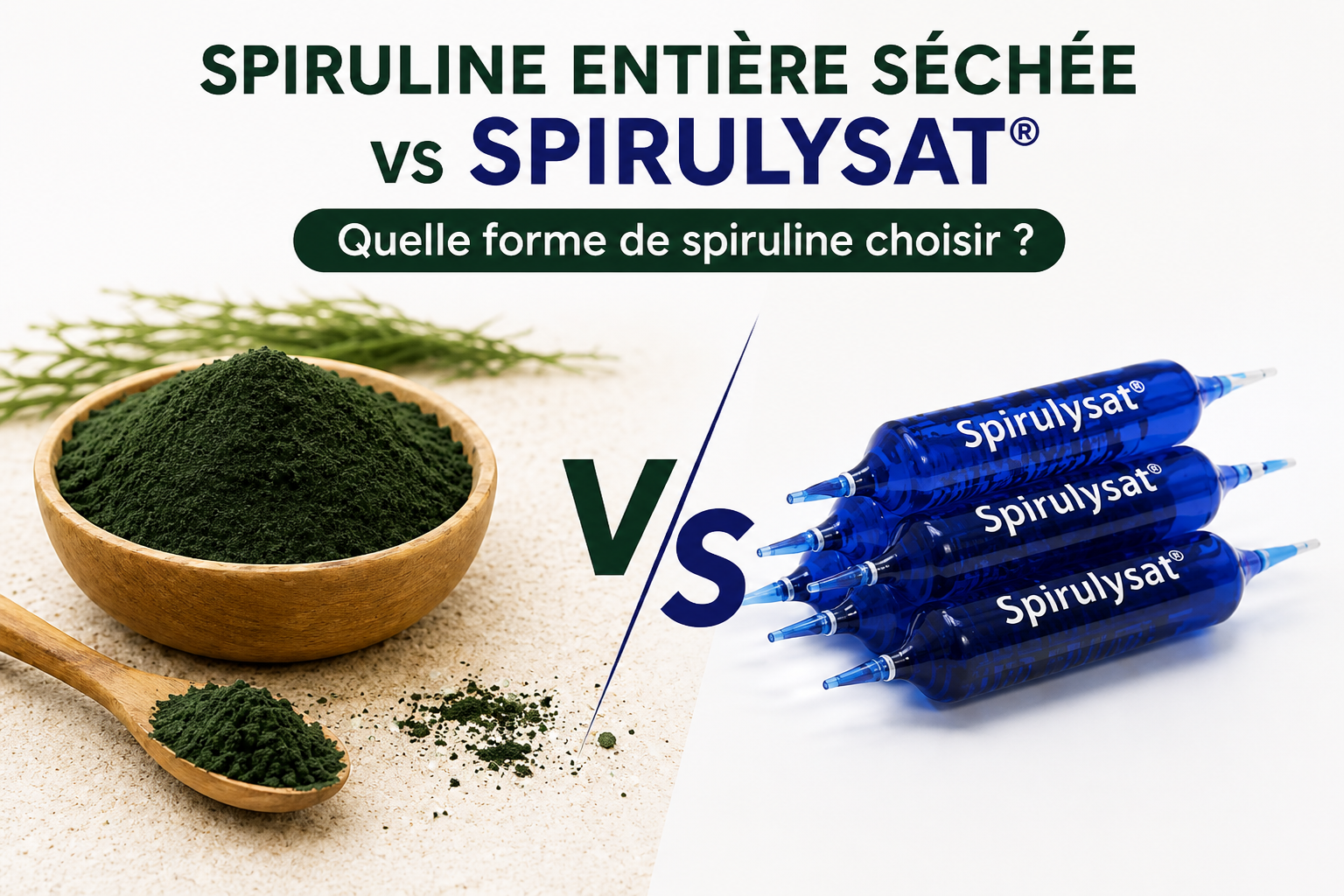 Spiruline entière vs. Spirulysat : comprendre les différences