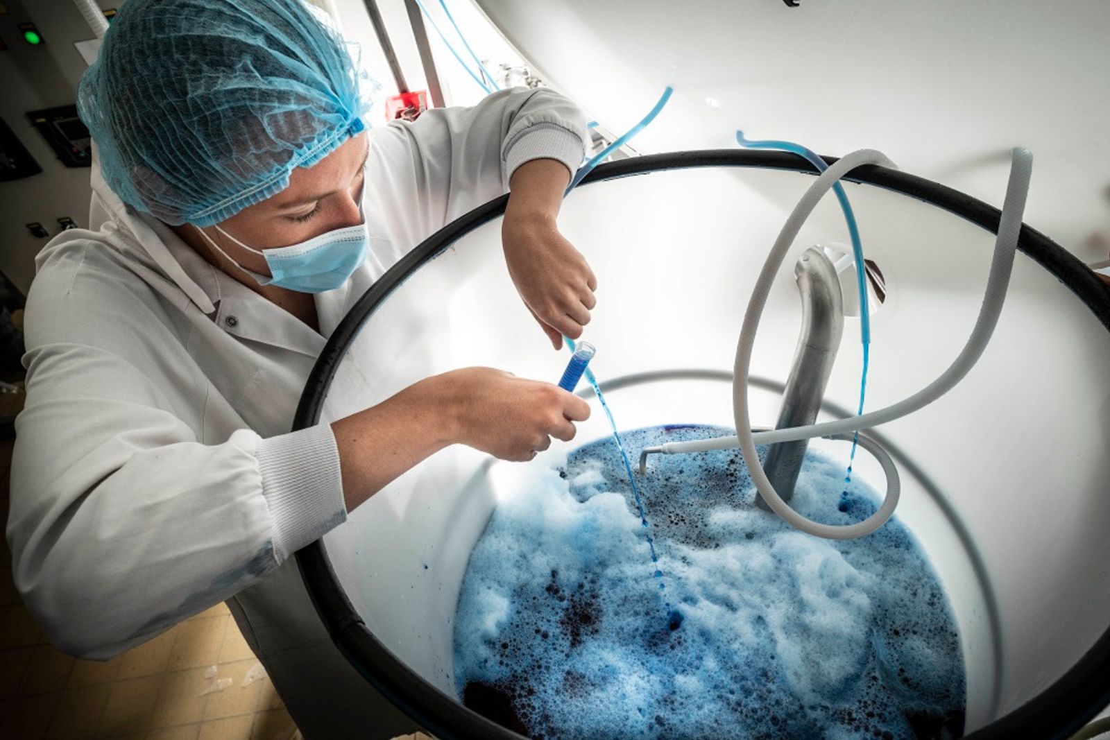 Spirulysat®, phycocyanines bioactives extraites à l'eau et à froid