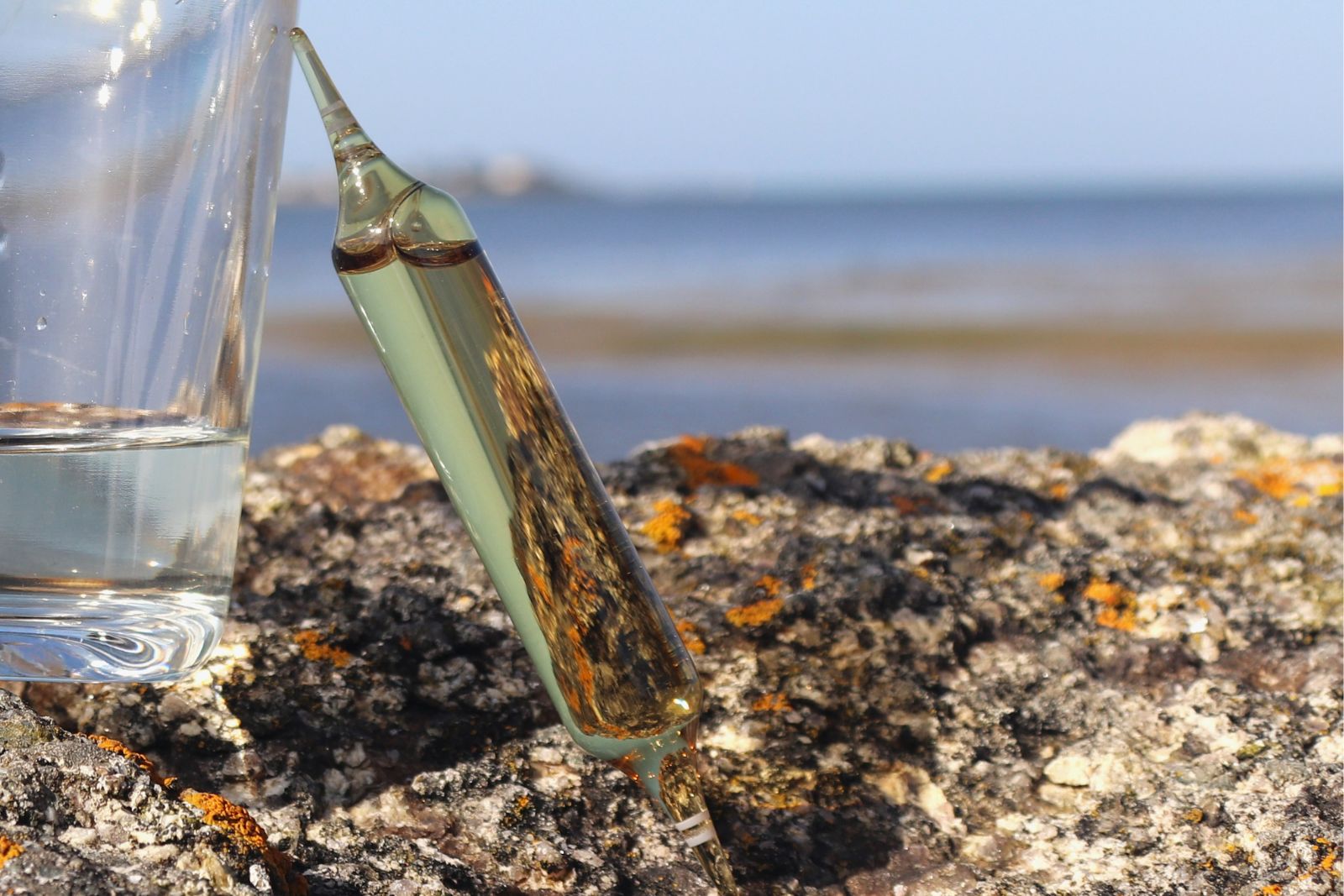 MagOrigine®, une révolution naturelle pour les compléments en magnésium