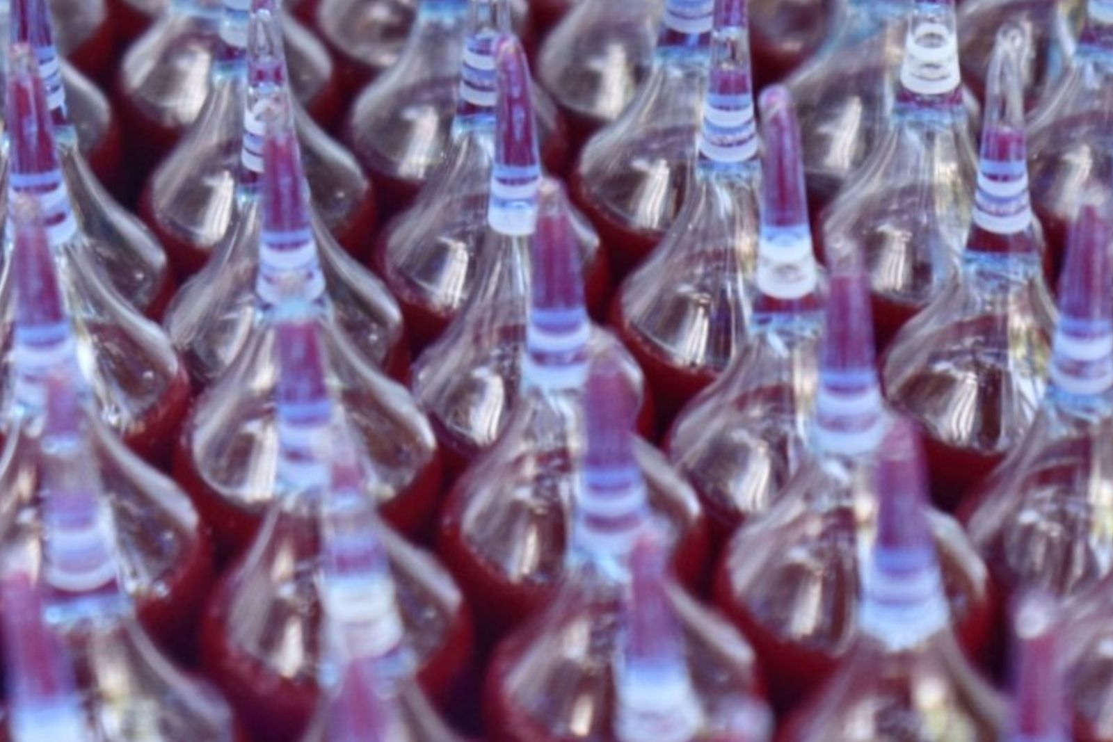 Les bienfaits des extraits de phycocyanines sans conservateurs