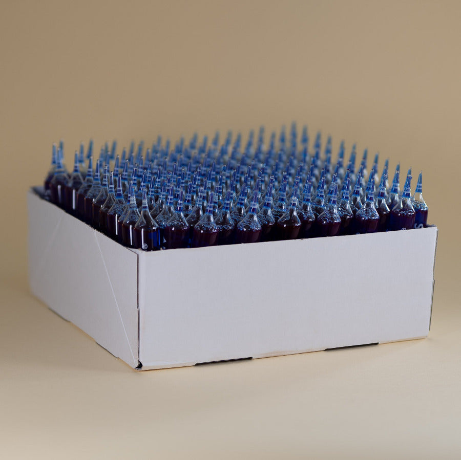 Spiruline bleue phycocyanines spirulysat