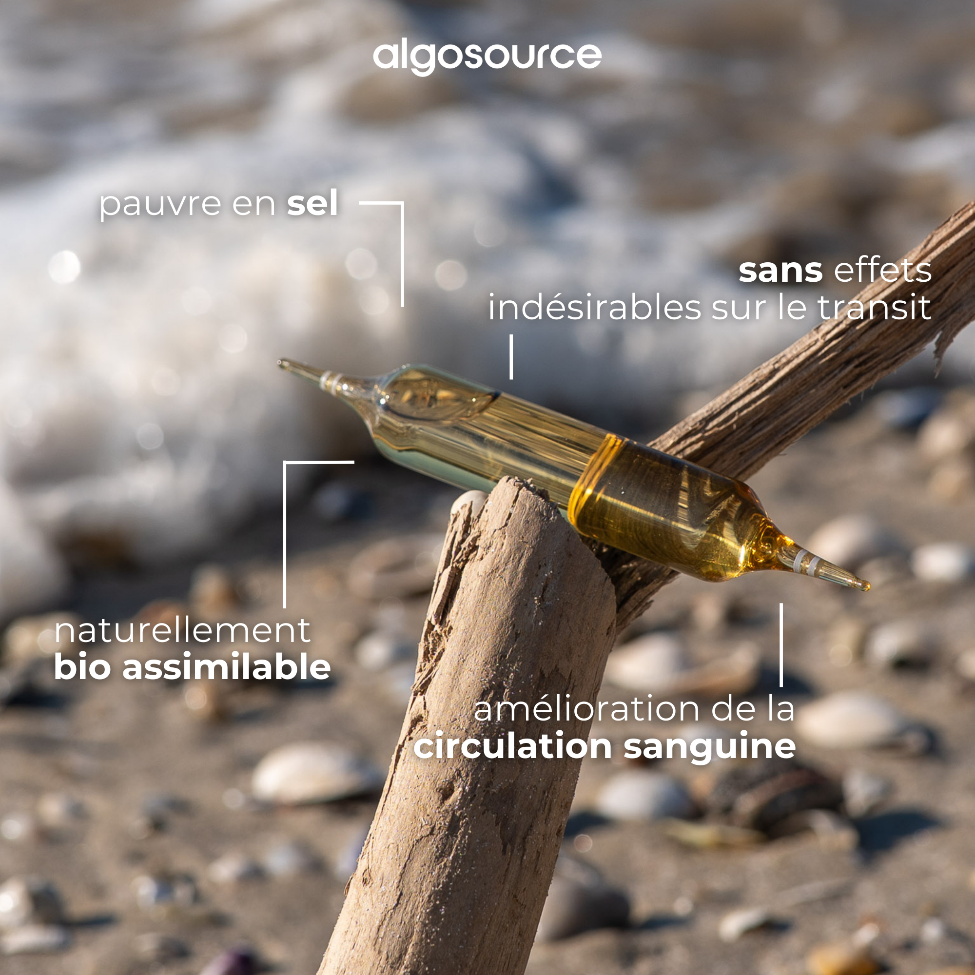 magnesium naturel de guerande circulation sanguine