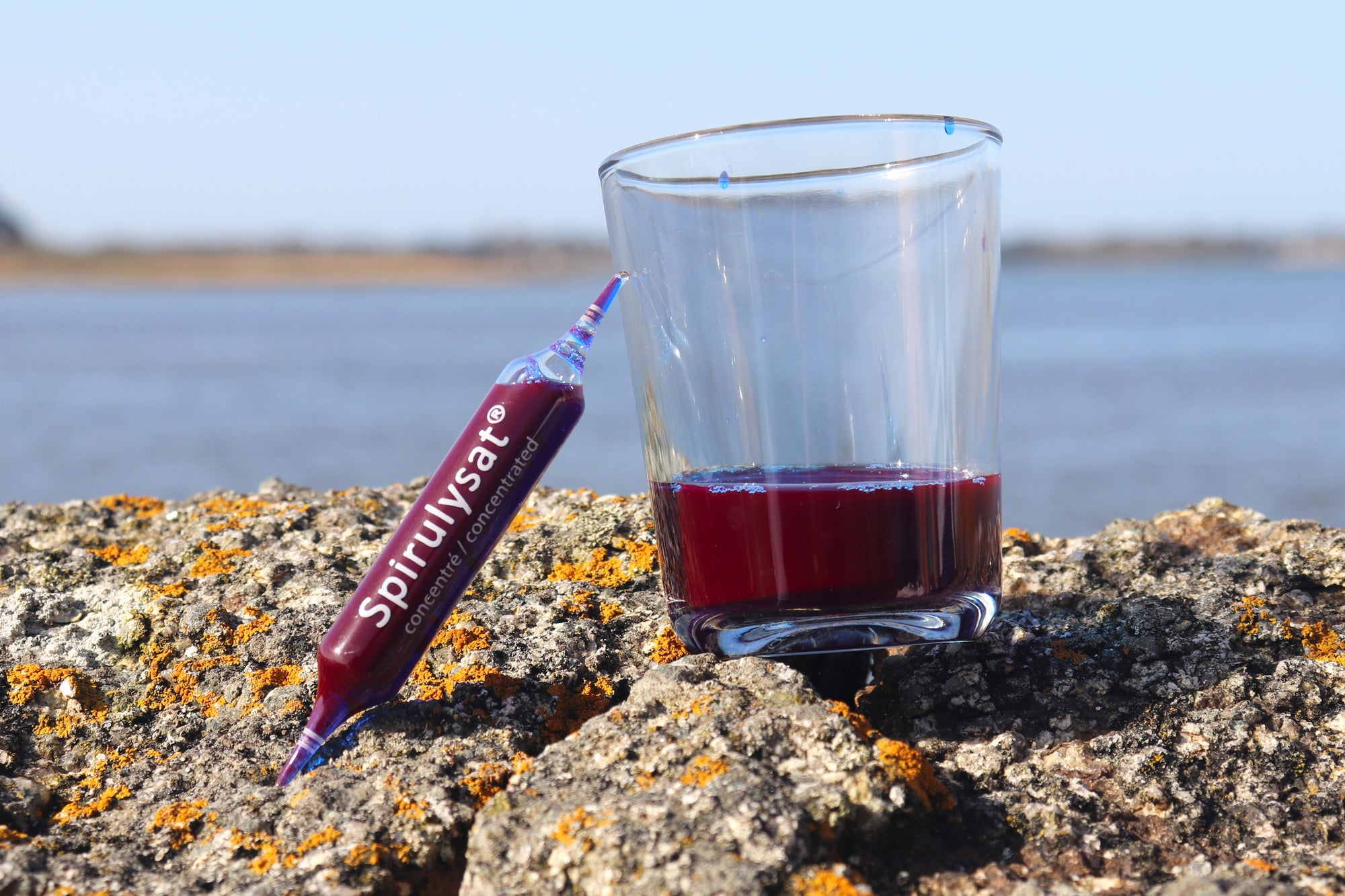 spiruline bleue concentree 50 mg phycocyanines