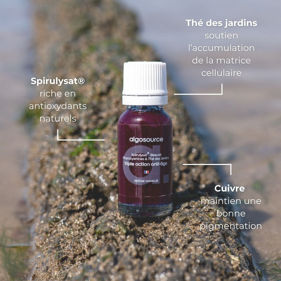 Détail ingrédients spirulysat beauté