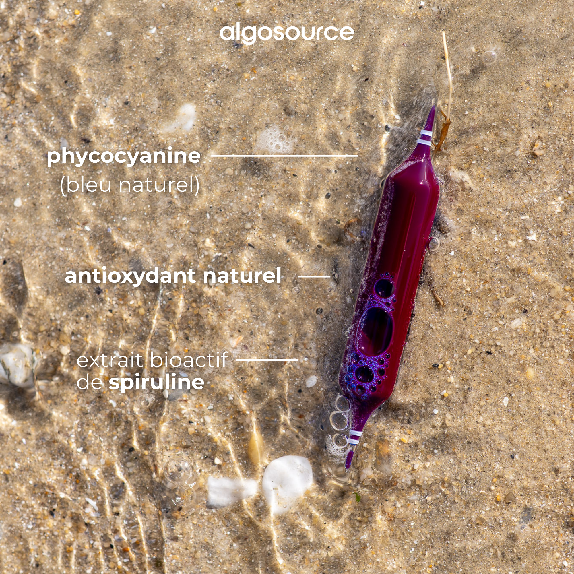 phycocyanine naturelle bioacive