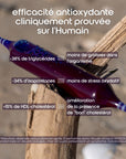 spirulysat antioxydant recuperation