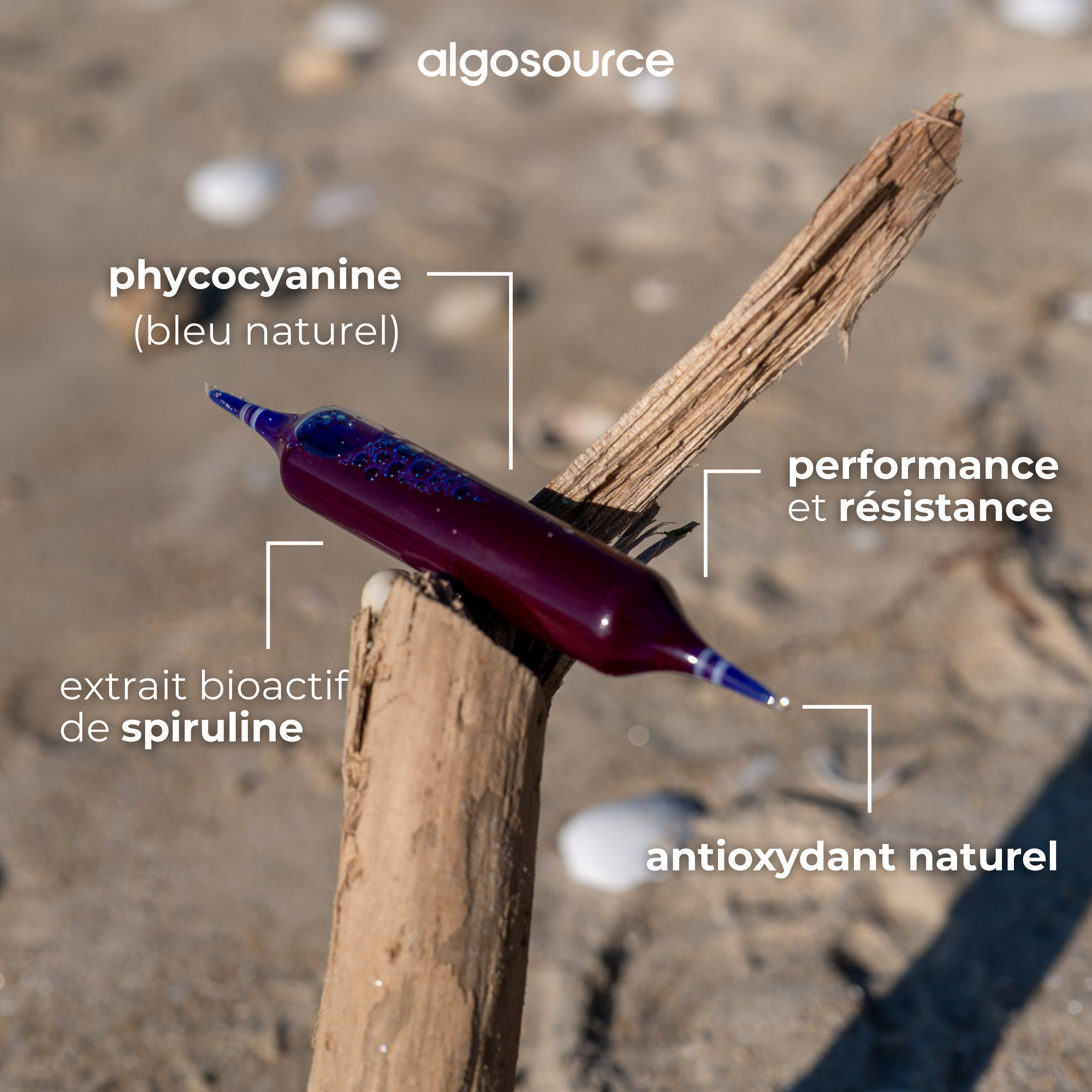phycocyanines naturelles tonus ginseng