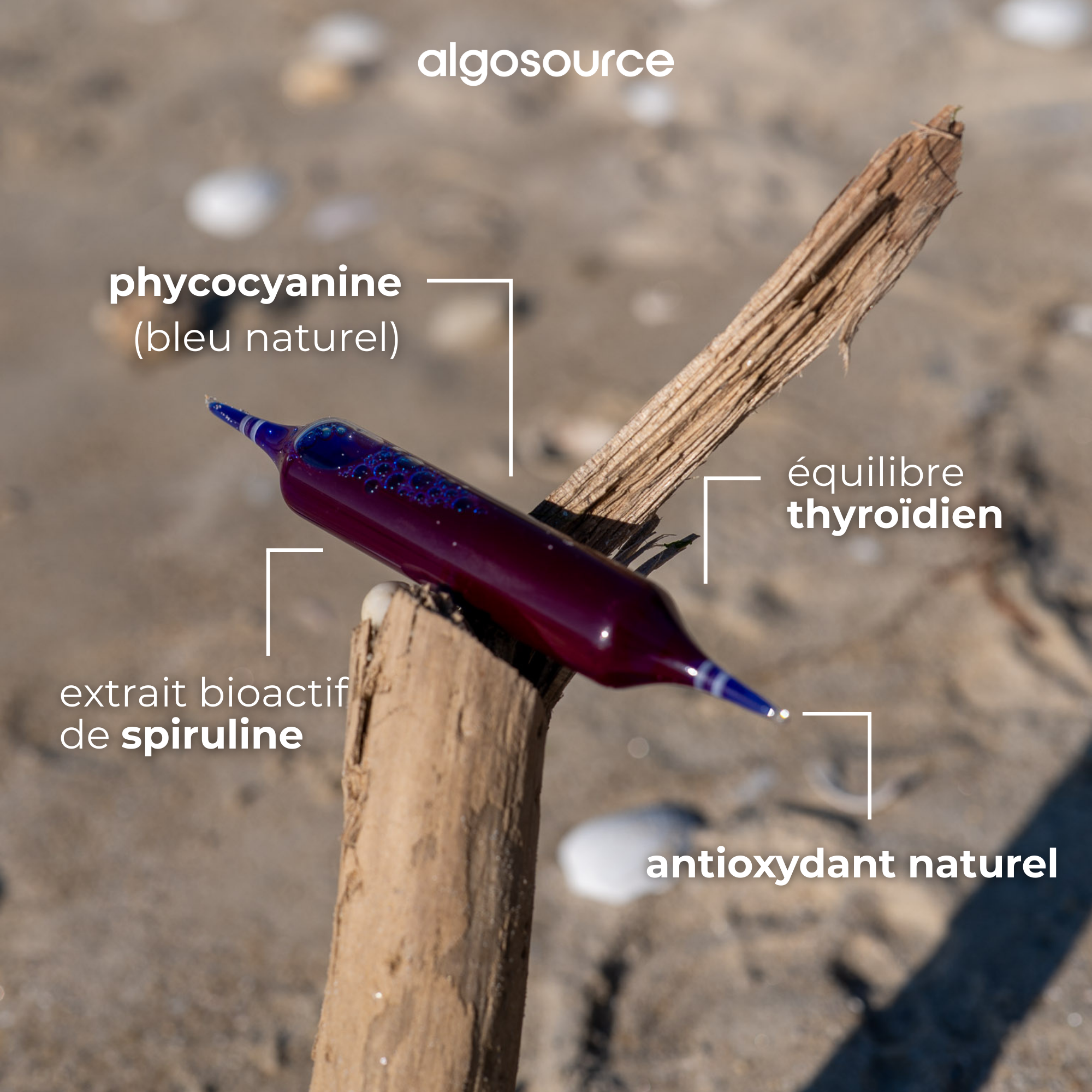 santé de la thyroide, spirulysat et selenium
