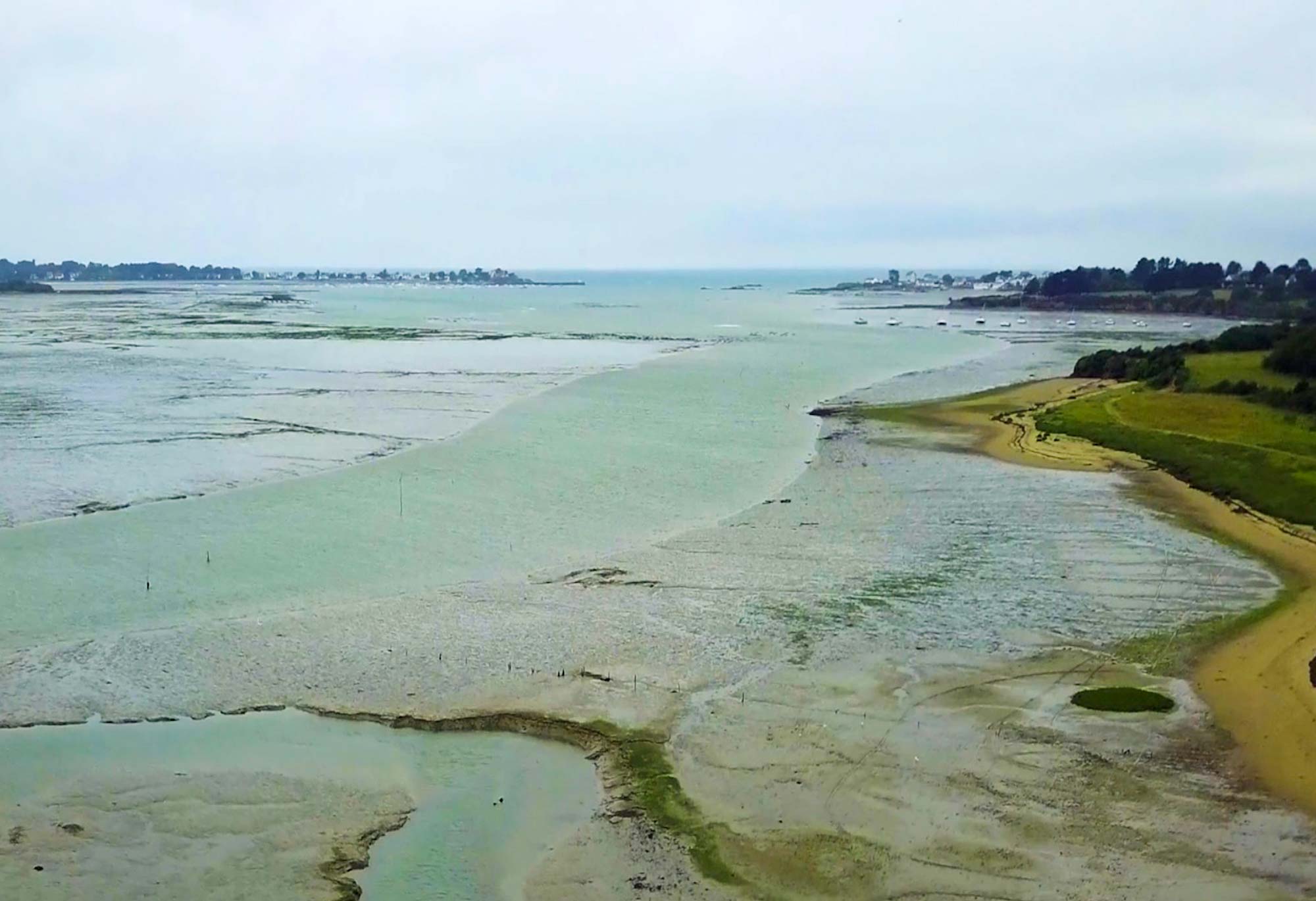 algosource culture spiruline algoferme asserac