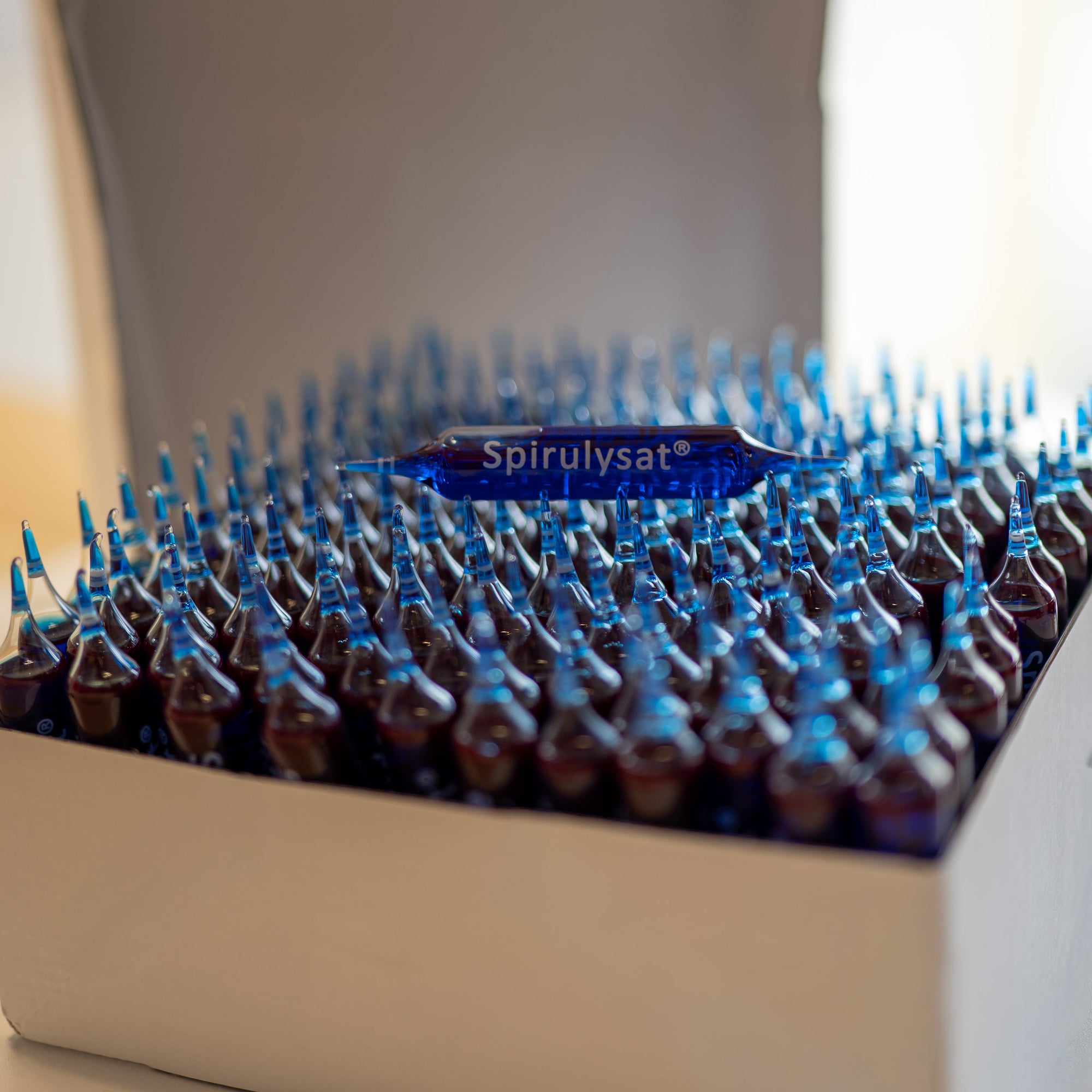 ampoules spiruline format famille