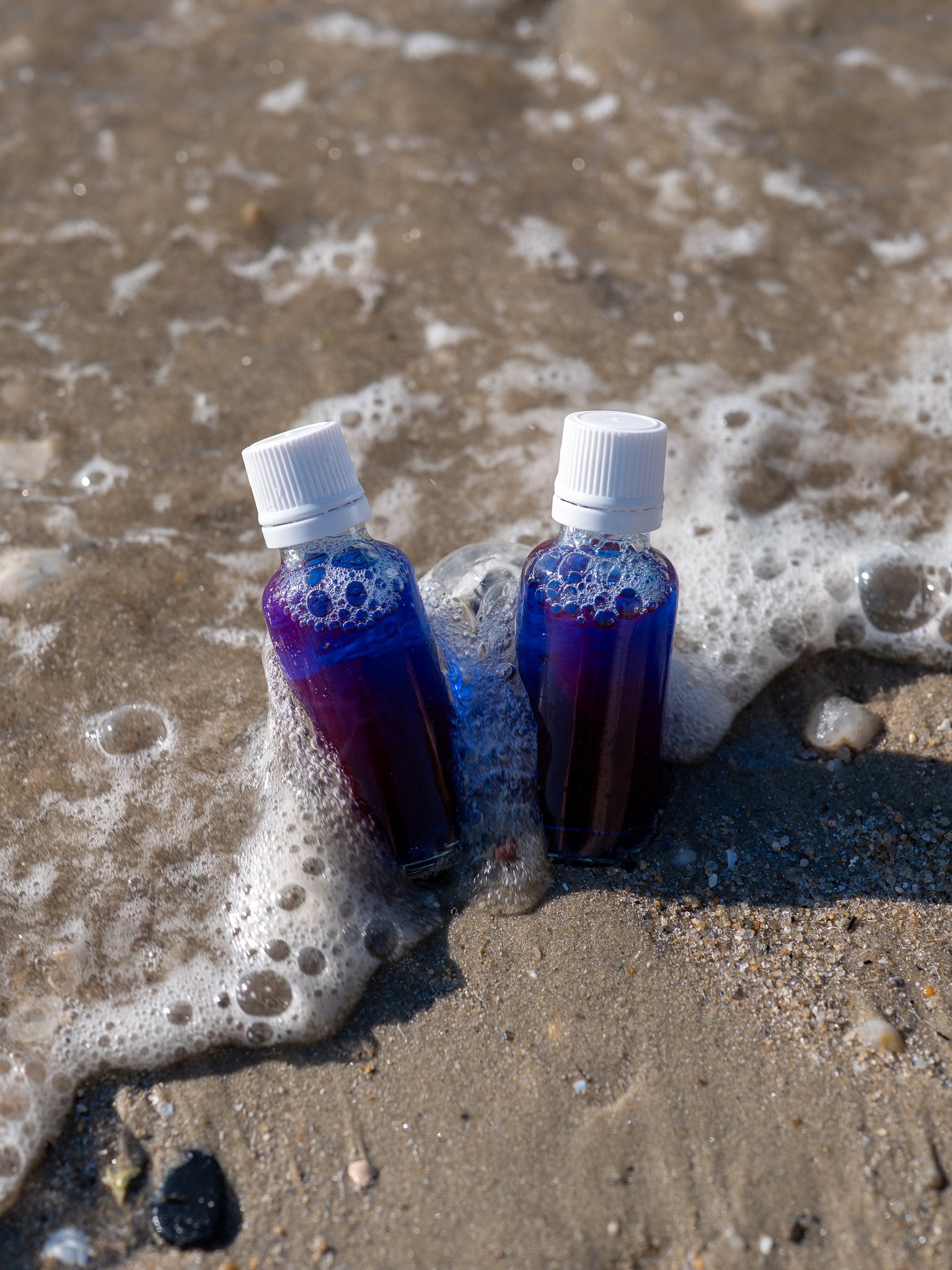 spiruline bleu phycocyanine flacon