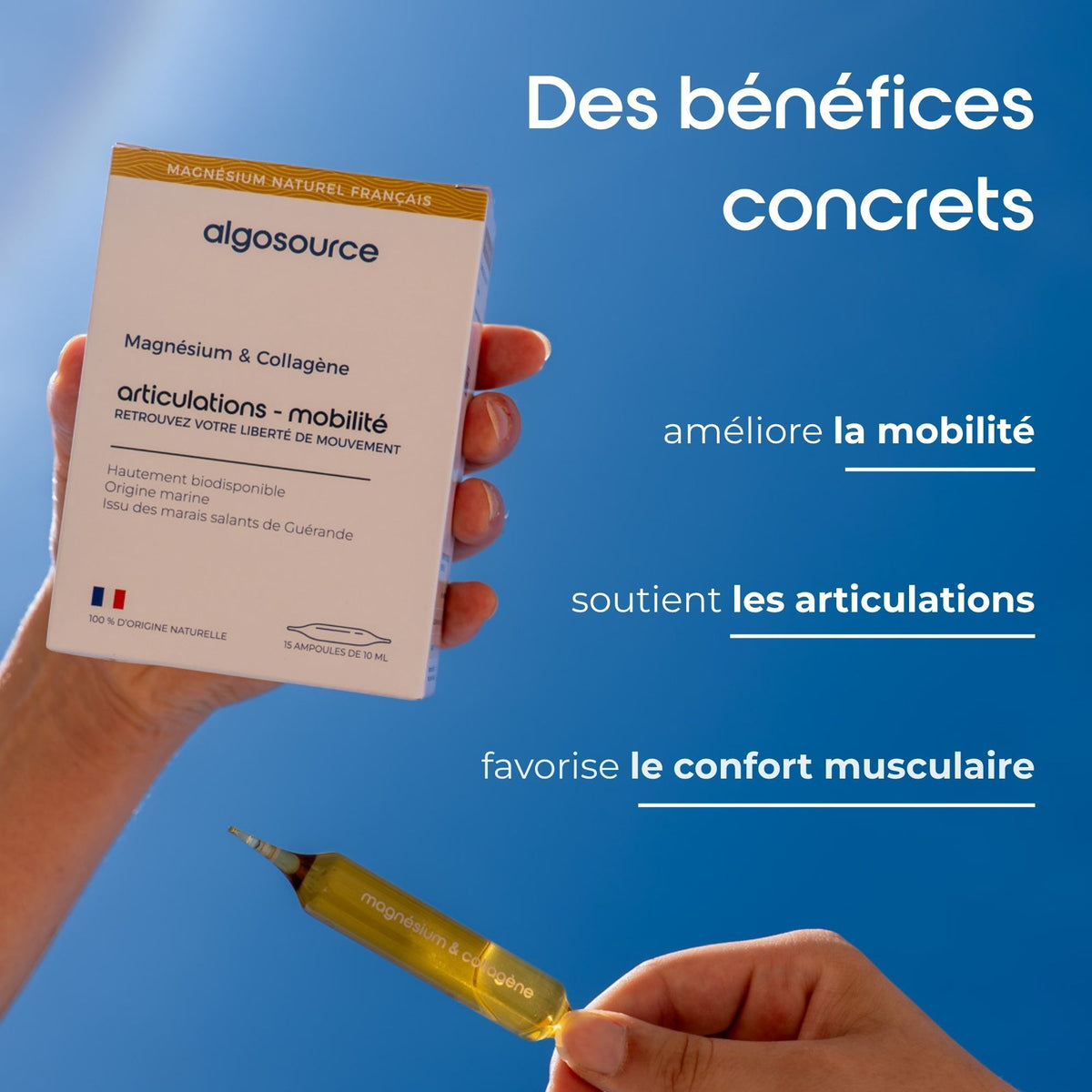 sante articulaire