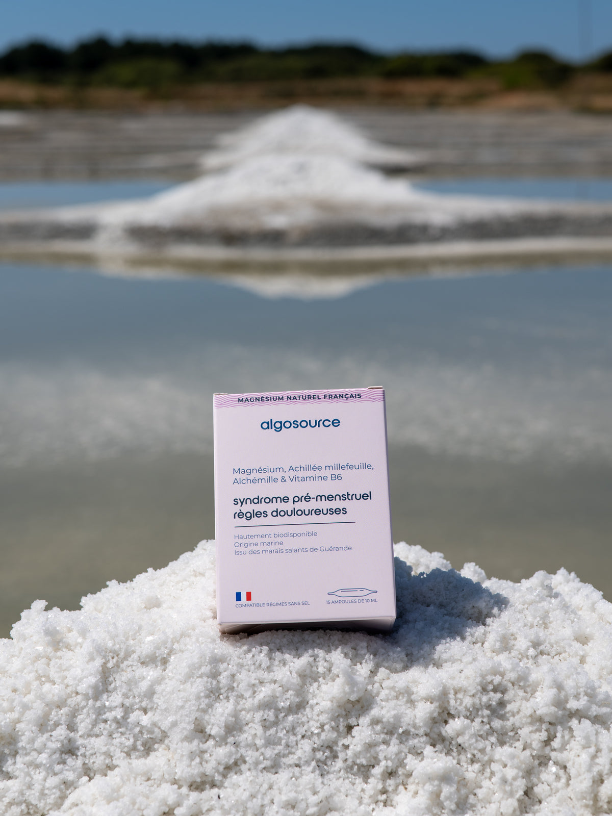 magnesium regles spm