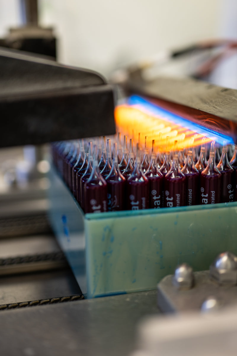 ampoules fabrication spiruline bleue