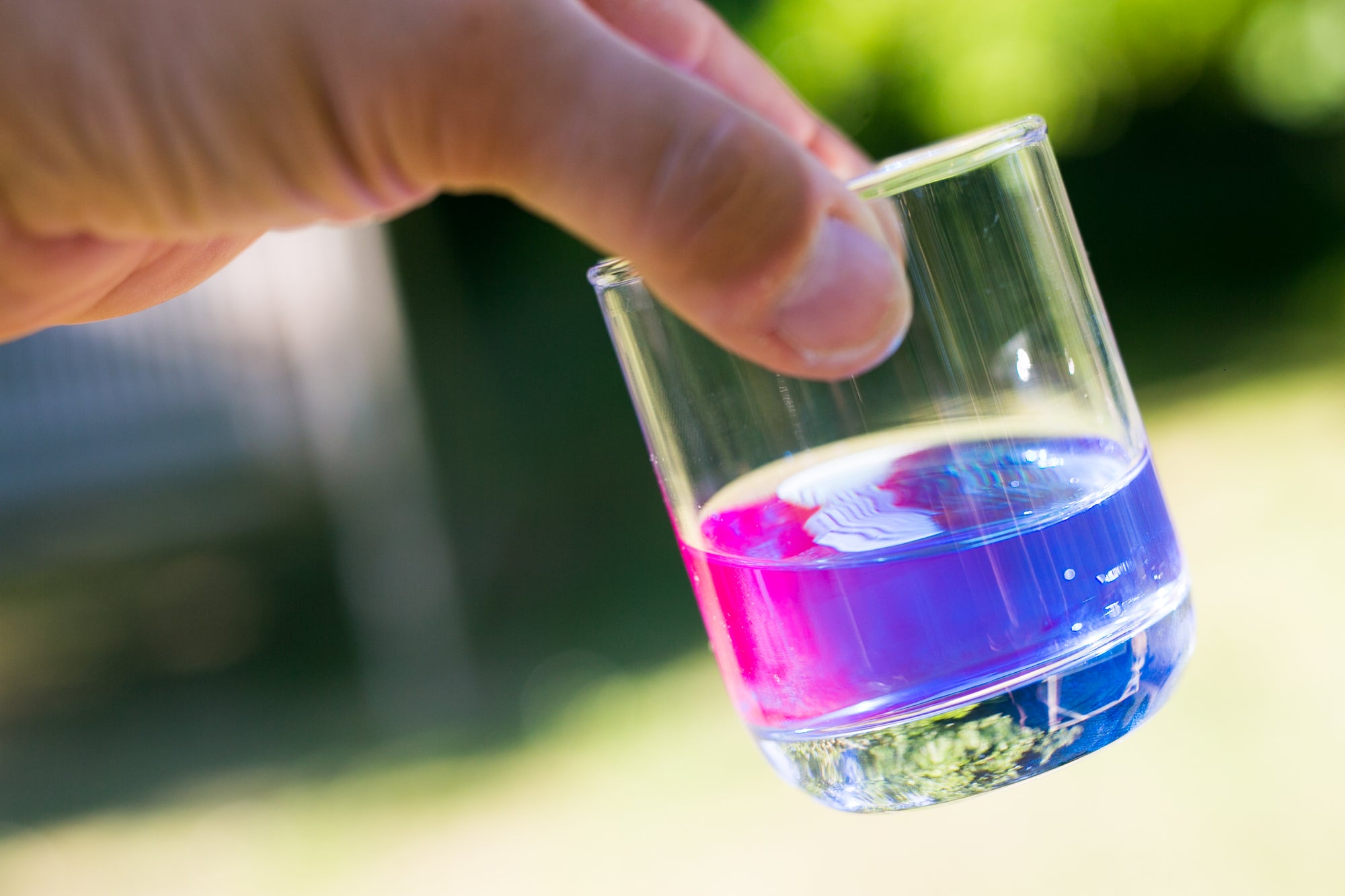 phycocyanines spiruline france