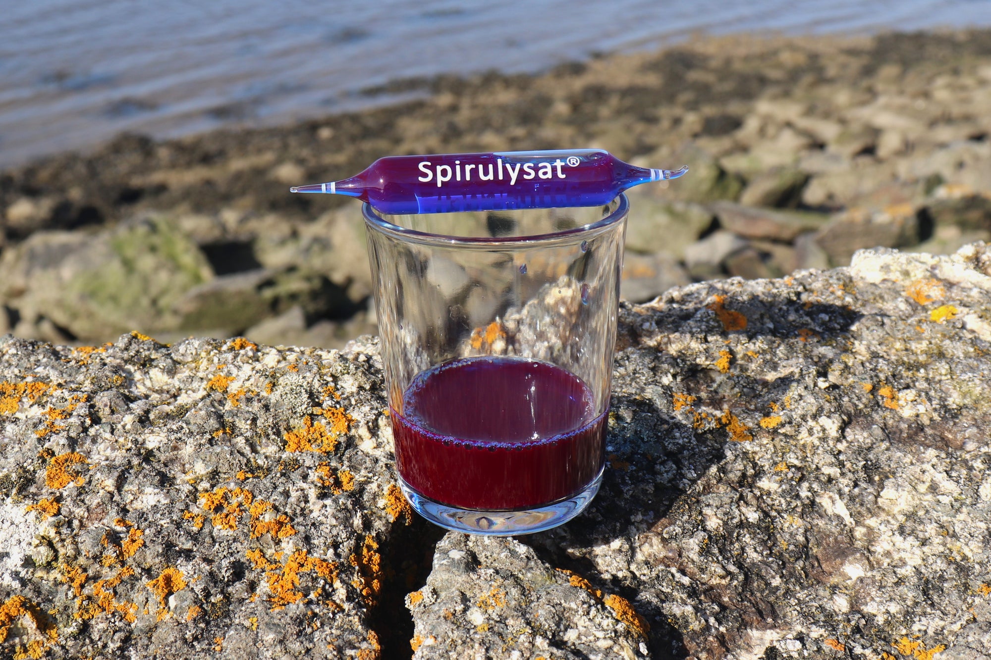 spiruline bleue phycocyanine en ampoule liquide