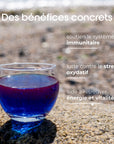 soutien le systeme immunitaire