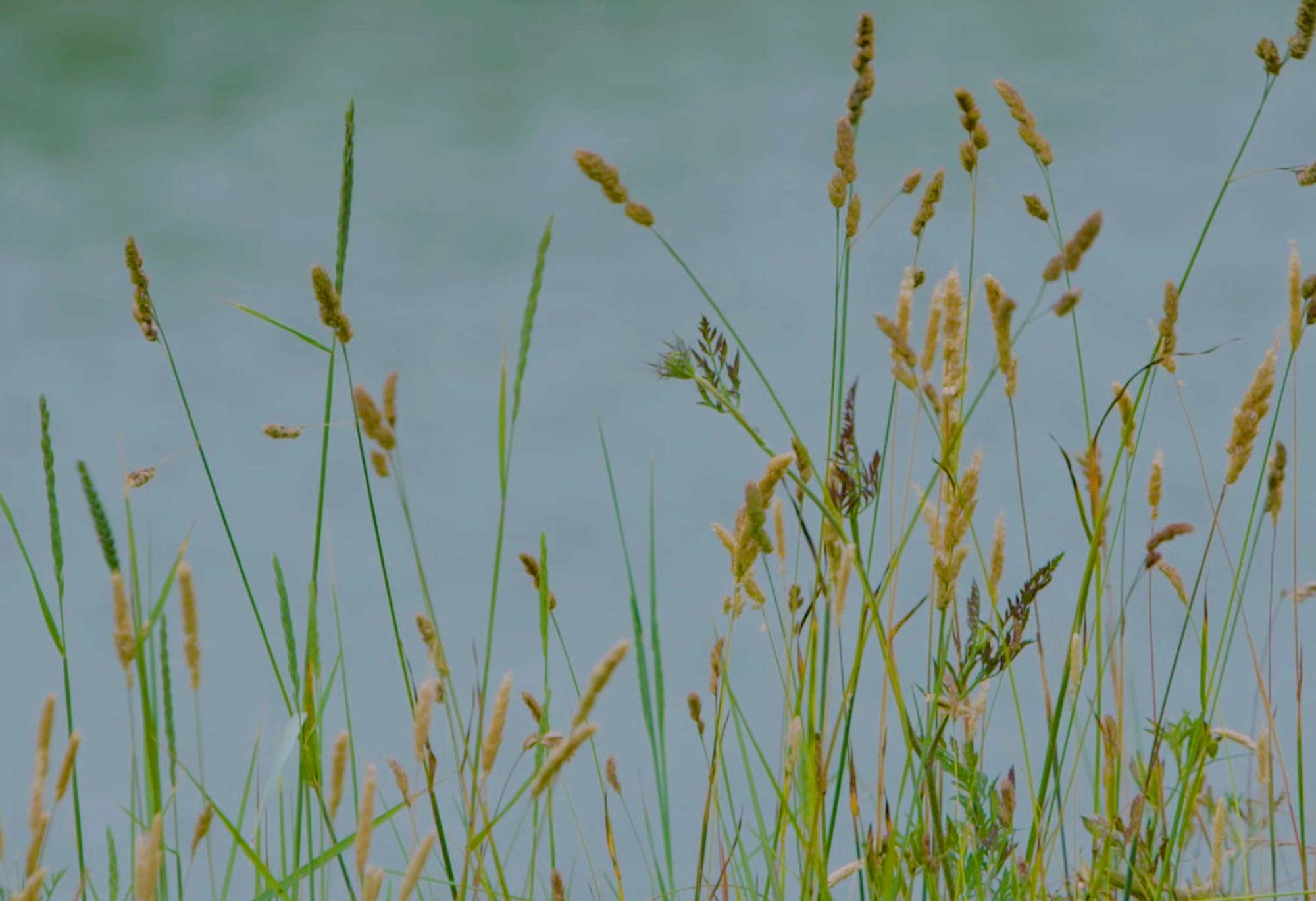 Une exigence : le respect des ressources naturelles