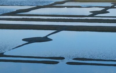 Les Eaux-mères, le trésor méconnu des Marais Salants de Guérande