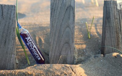 La nutraceutique microalgale, une révolution durable grâce à AlgoSource